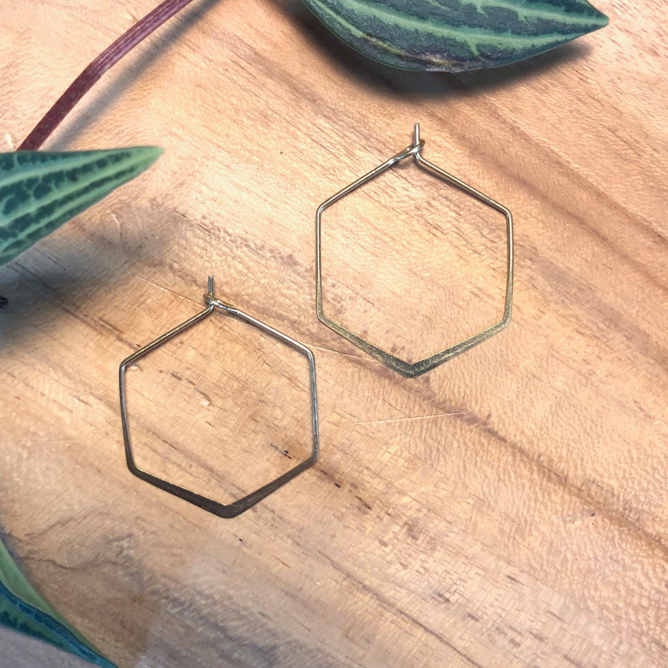 Stevie Earrings - Hexagon