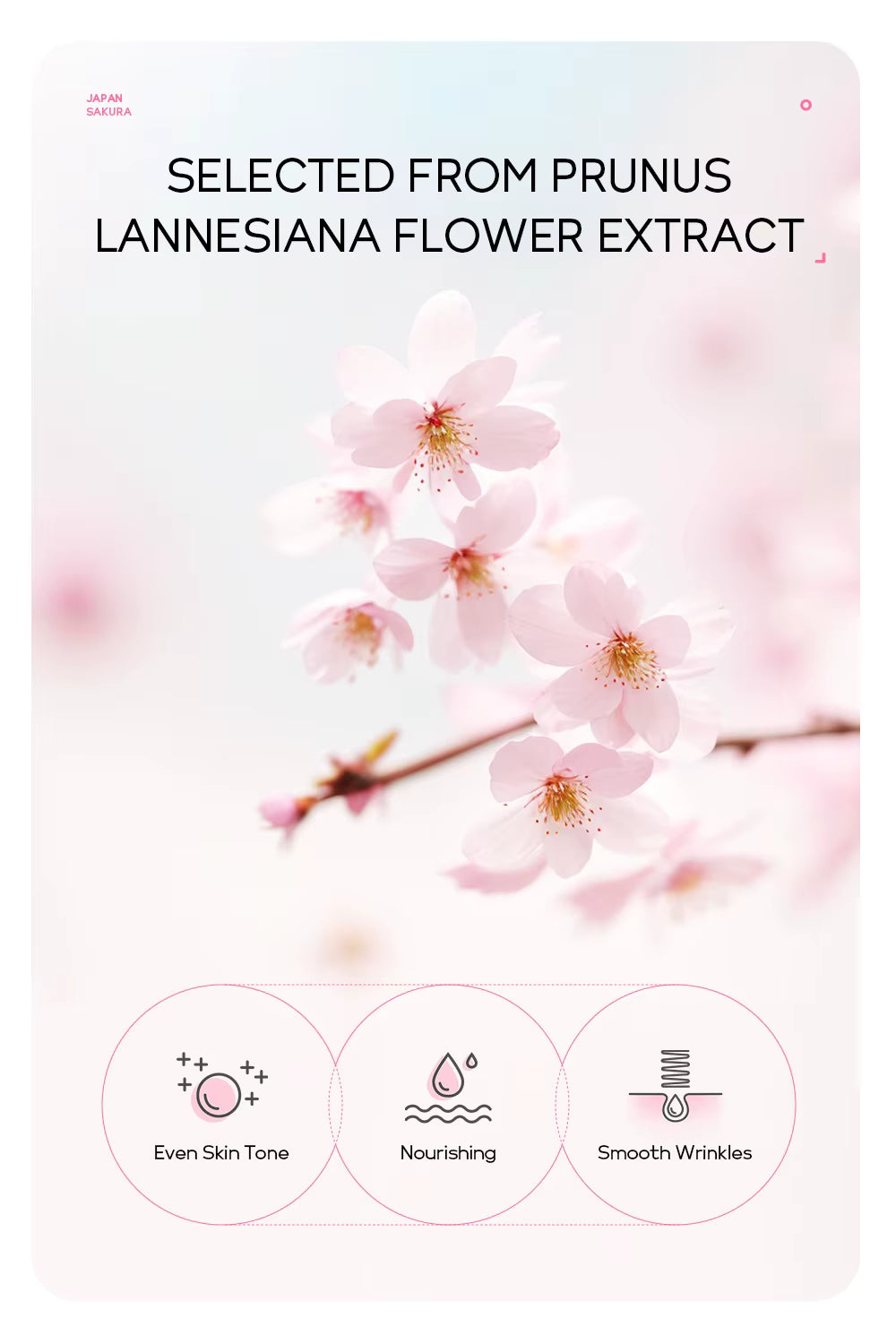 Step-by-step application guide