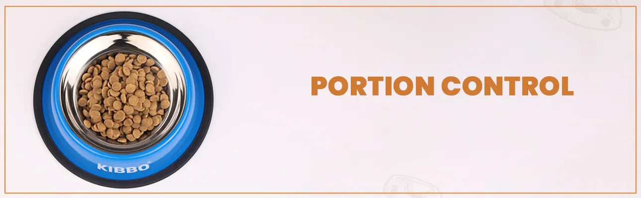 1290x400_3.3 KIBBO Bowl