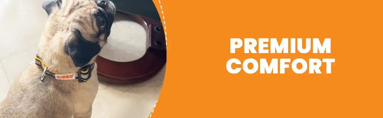 1290x400_4.2 Kibbo Collar benefits