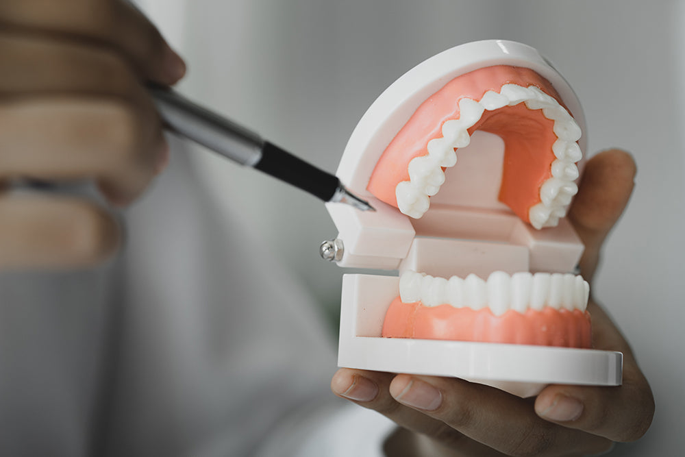 Social Care Dental Services: Prioritising Oral Health in Social Care Settings - ComplyPlus LMS™ - The Mandatory Training Group UK -