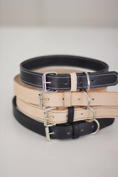 Leather Dog Collar