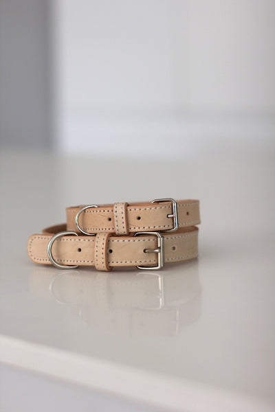 Leather Dog Collar