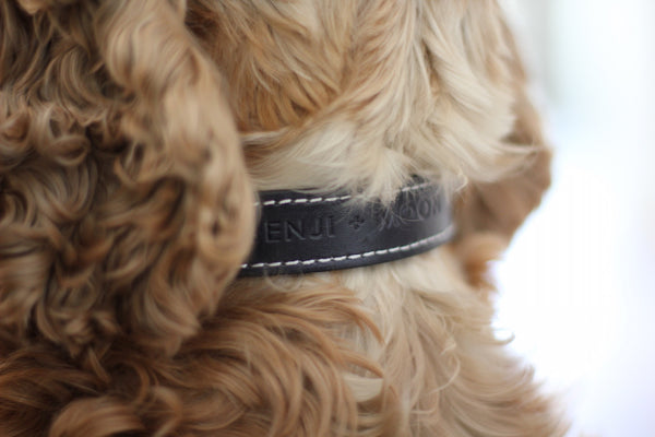 Benji + Moon | Handcrafted Leather dog collars black and beige