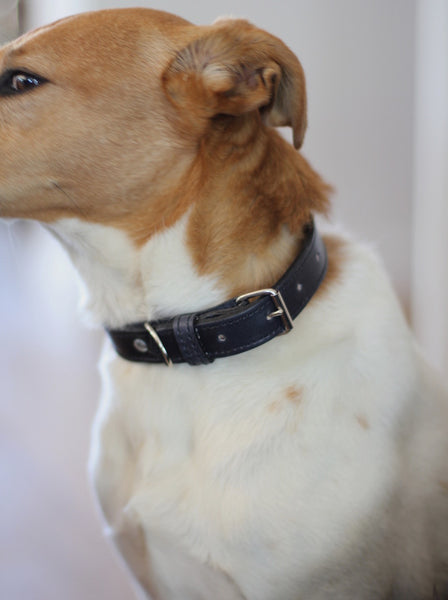 Benji + Moon | Handcrafted Leather dog collars black 
