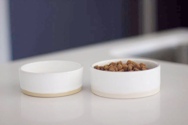 Small Ceramic Pet Bowl