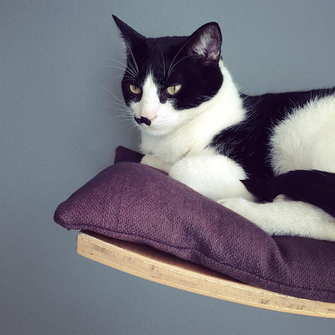 Benji + Moon | Wooden Cat Shelf