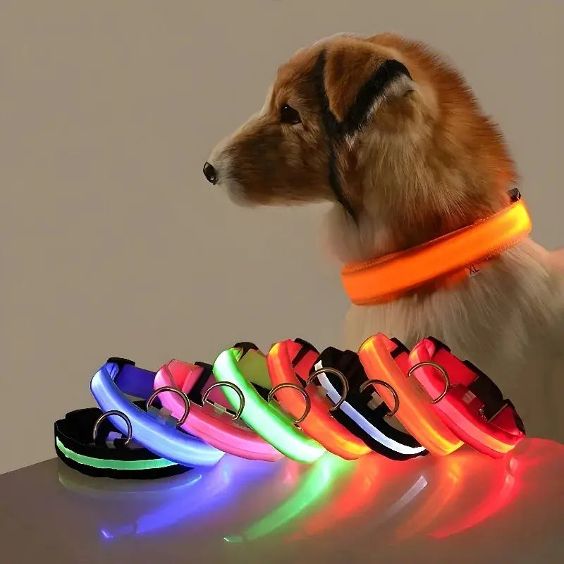 LED Dog Collar – USB Rechargeable, Waterproof & Night Safety Light YUEYUEGOU Store