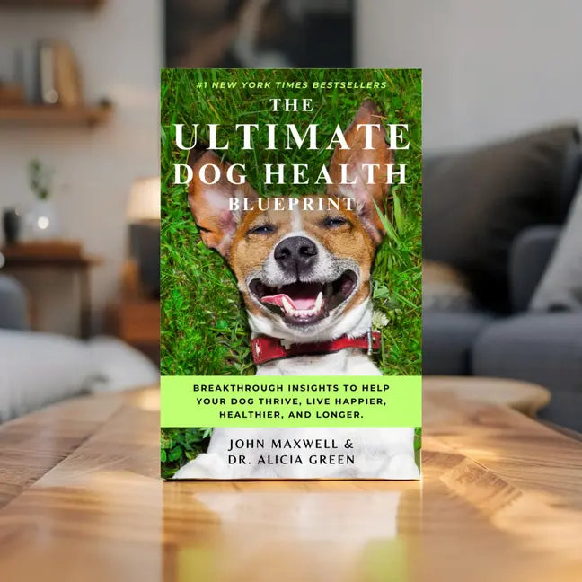 image_Pippit_202505080059-ezgif.com-resize.webp__PID:bb3961a5-e350-4071-8d29-f2b728df7c51