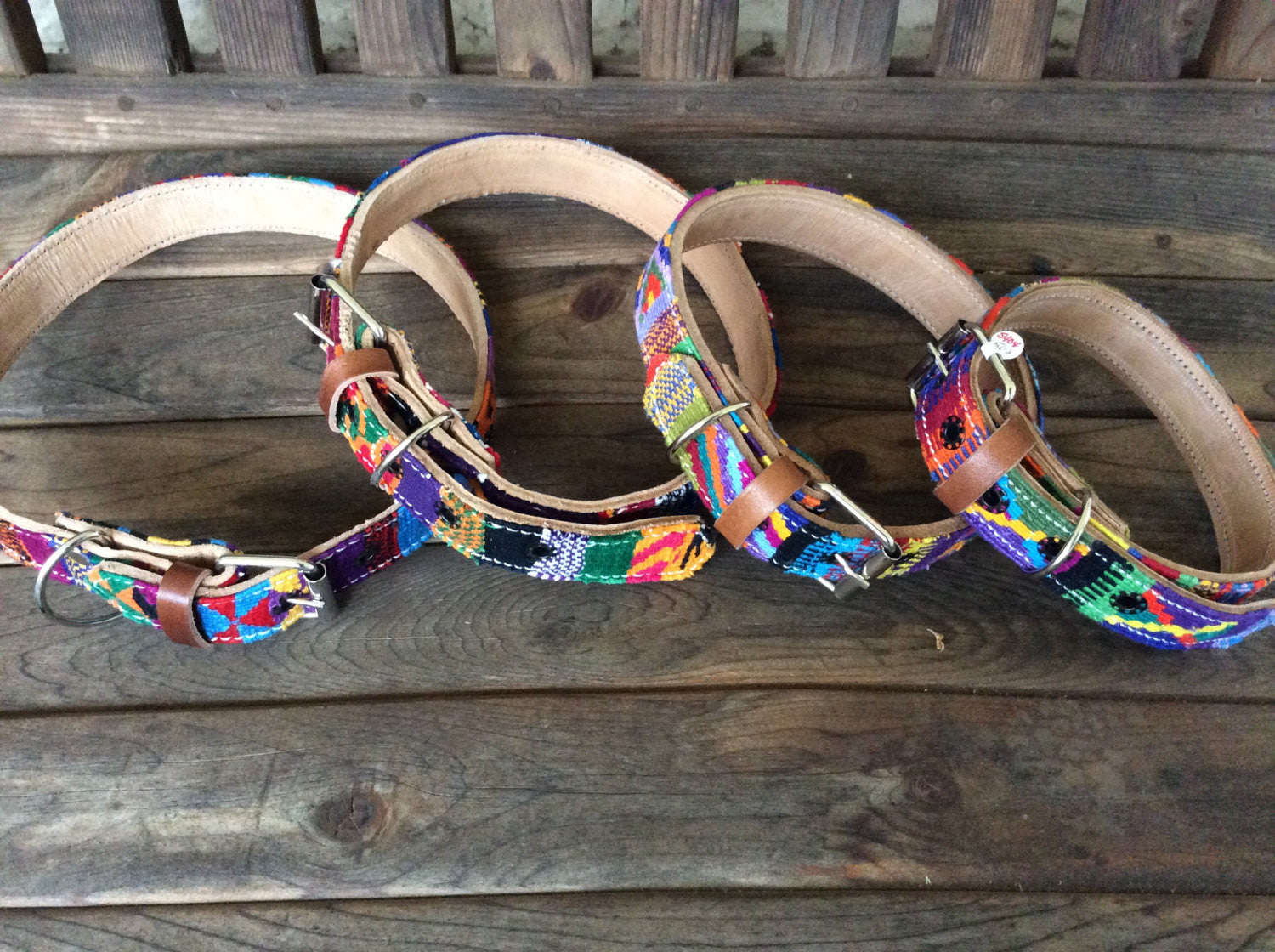 fabric dog collars