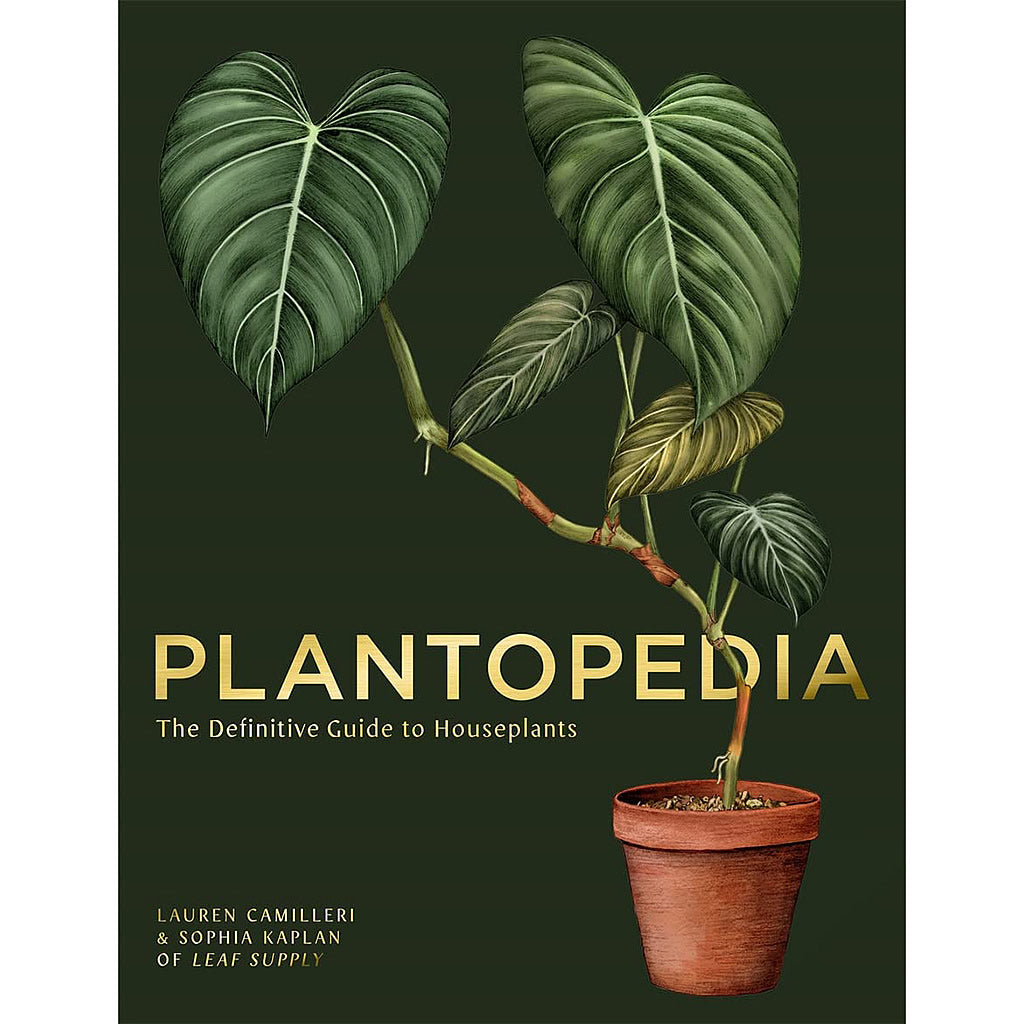 plantopedia-the-definitive-guide-to-houseplants