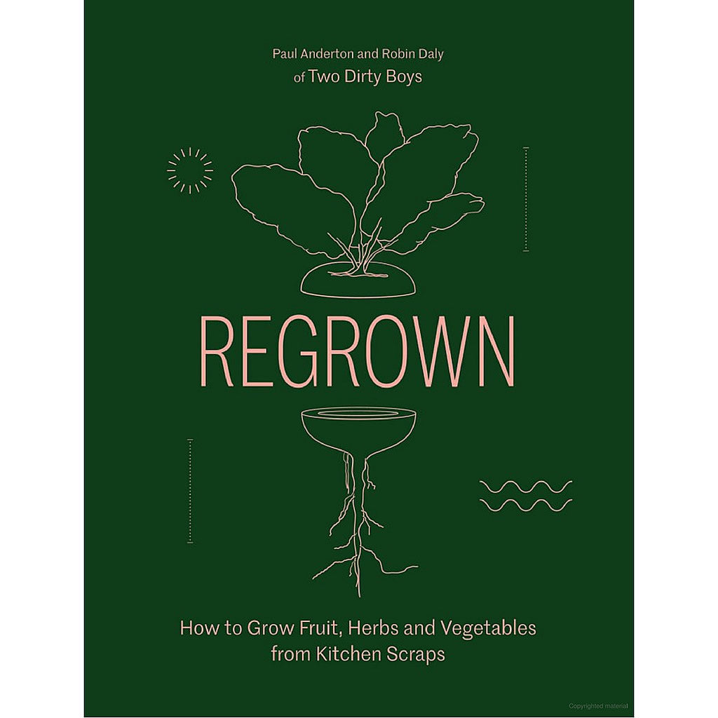 regrown-how-to-grow-fruit-herbs-and-vegetables-from-kitchen-scraps