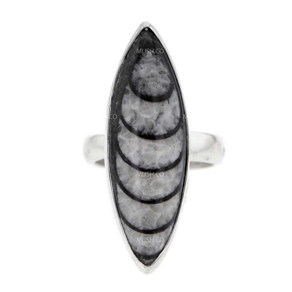 Adjustable Sterling Silver Orthoceras Fossil Ring v3 Hollywood