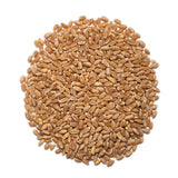 Hard red spring wheat berries | Hong Kong | Whole wheat berries