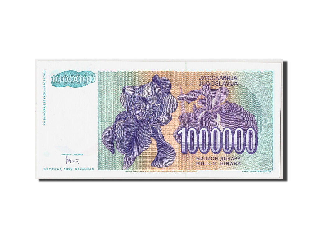 [#306294] Yougoslavie, 1 000 000 Dinara type 1993