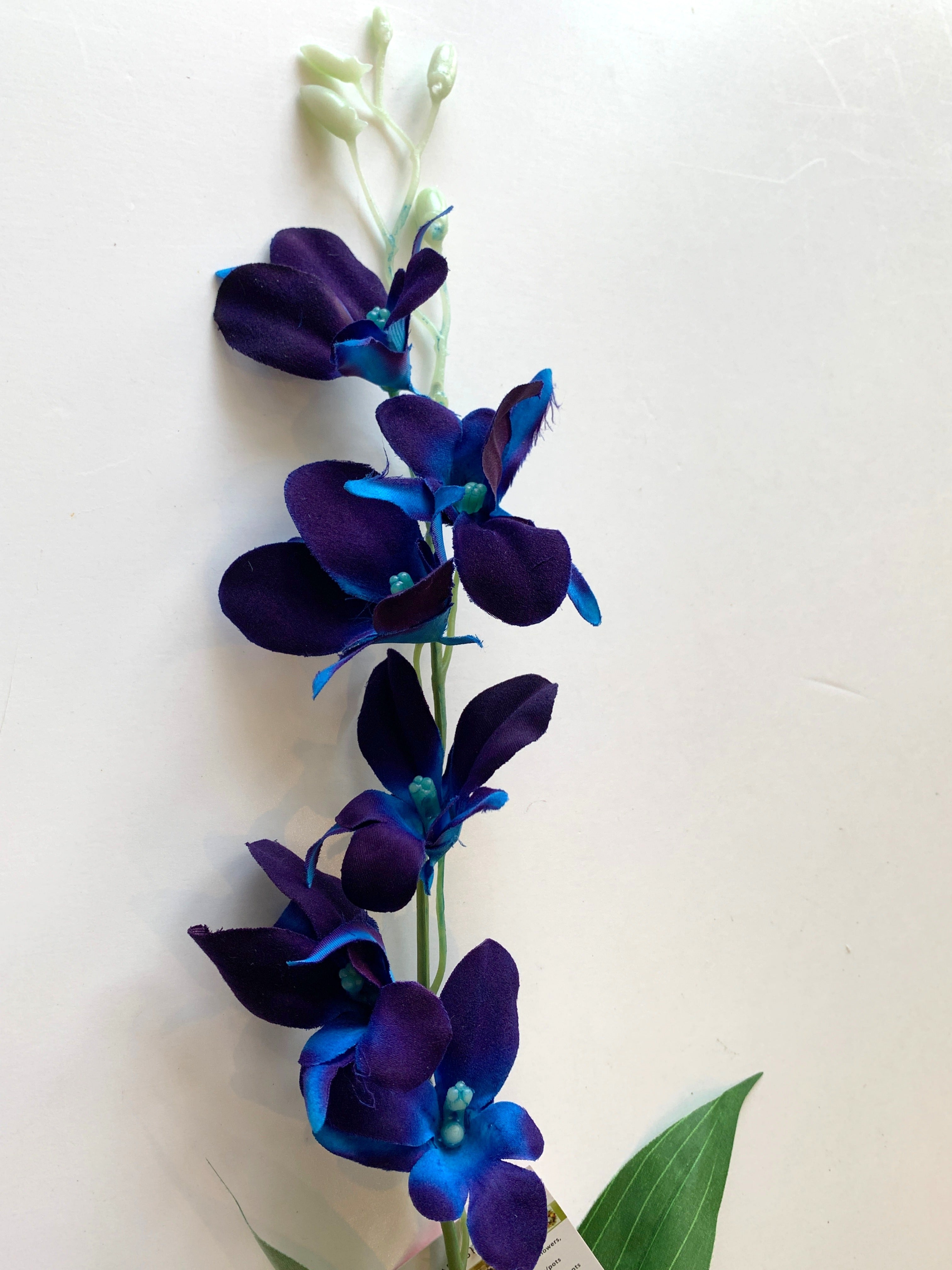 F0130blu Blue Dendrobium Orchids Galaxy Orchid 66cm Ebay 4293