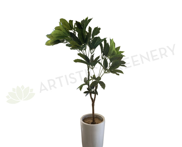 T0152 Árbol Schefflera artificial (Árbol paraguas) 170cm |  VERDE ARTÍSTICO – Verdor Artístico