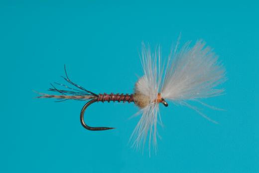 Last Chance Cripple Sulphur