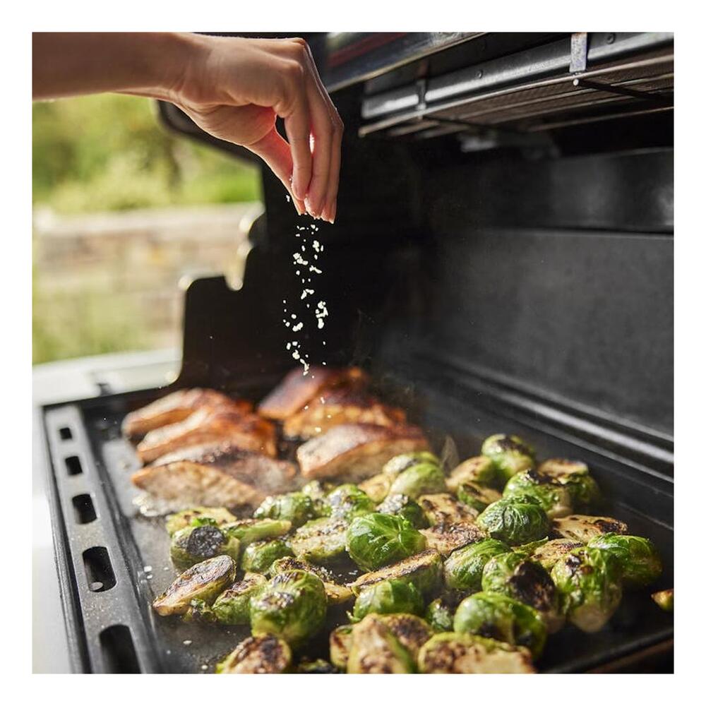 Weber-1500041-new top-down infrared broiler