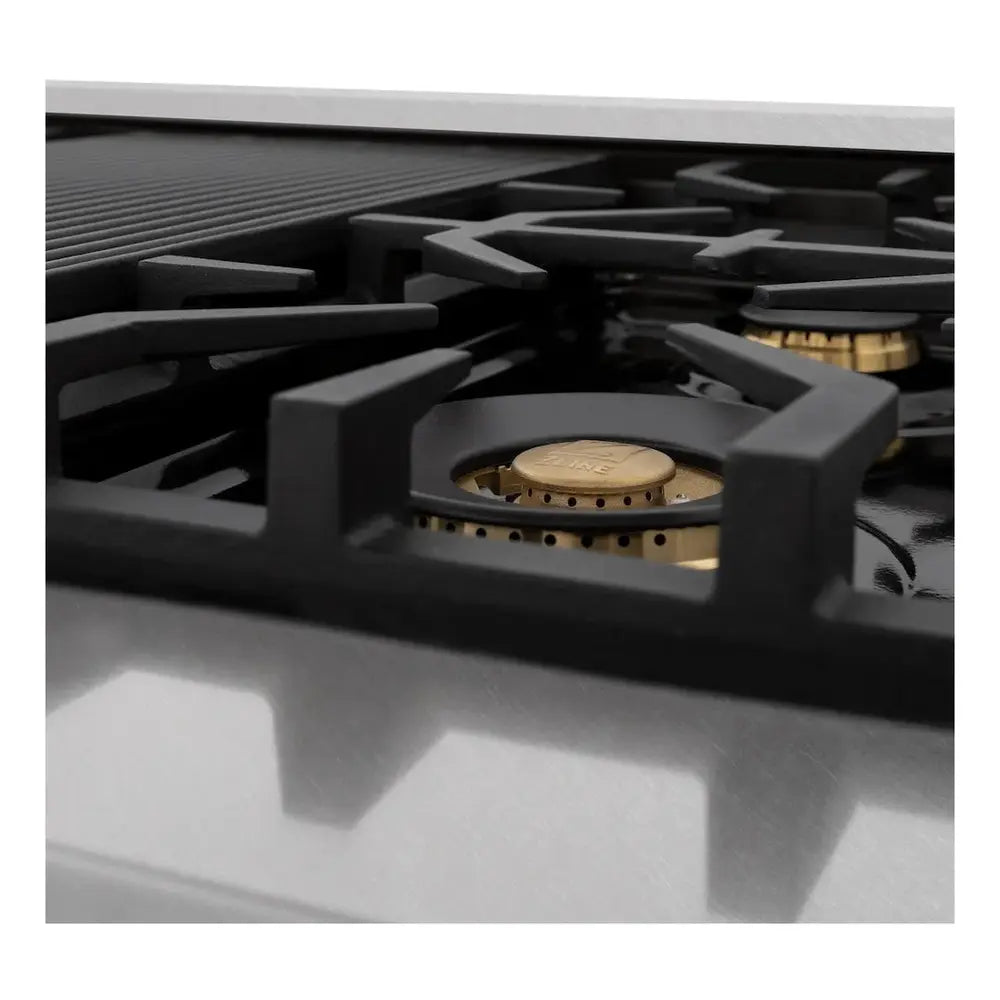 RASZWM48CB-Burner
