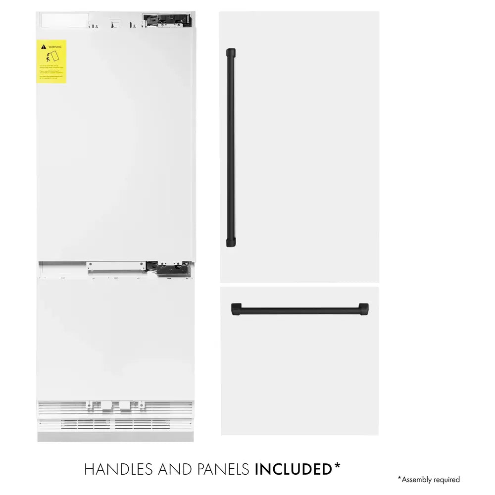 RBIVZWM30MB-Handles-and-Panels