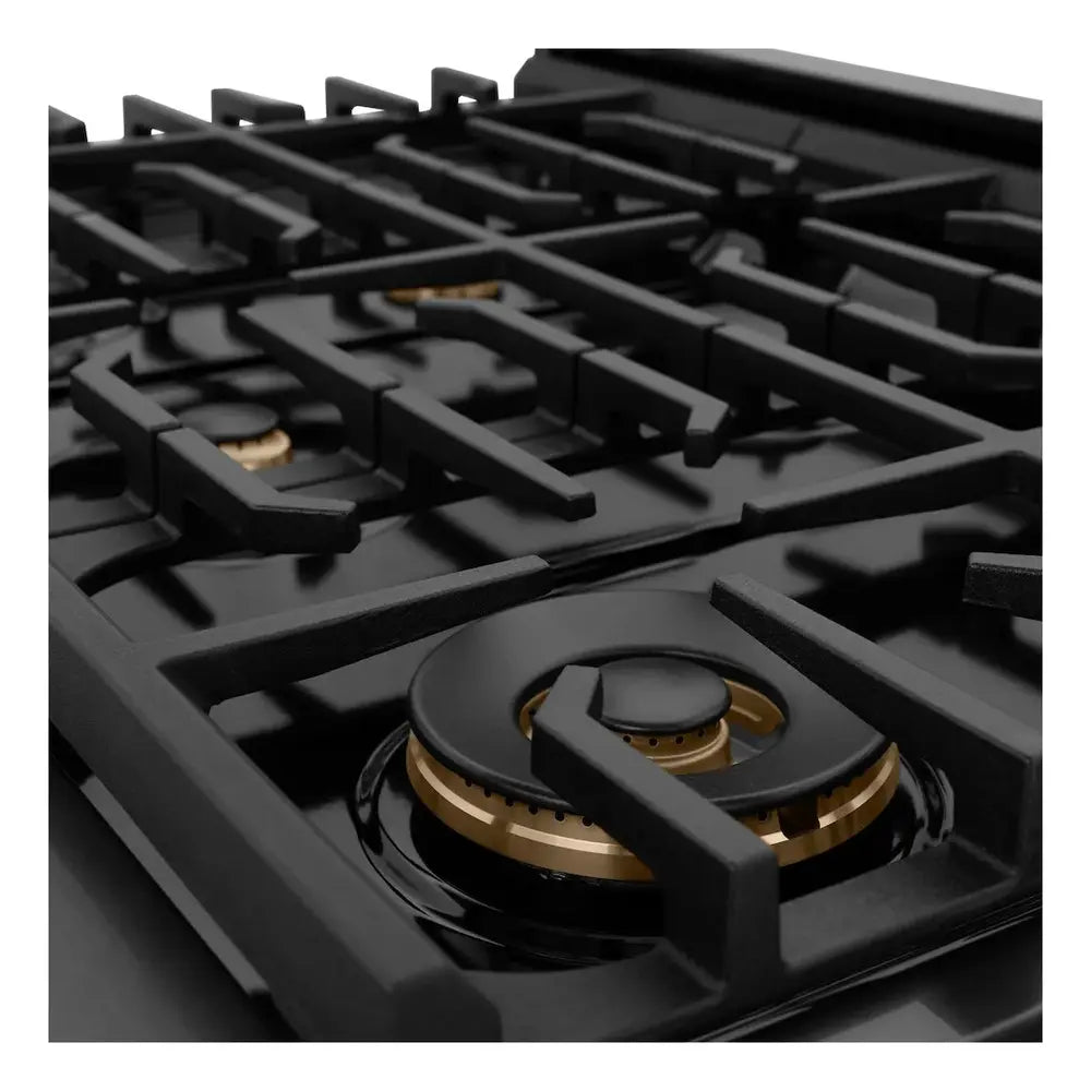 SGRBZ48CB-Burner