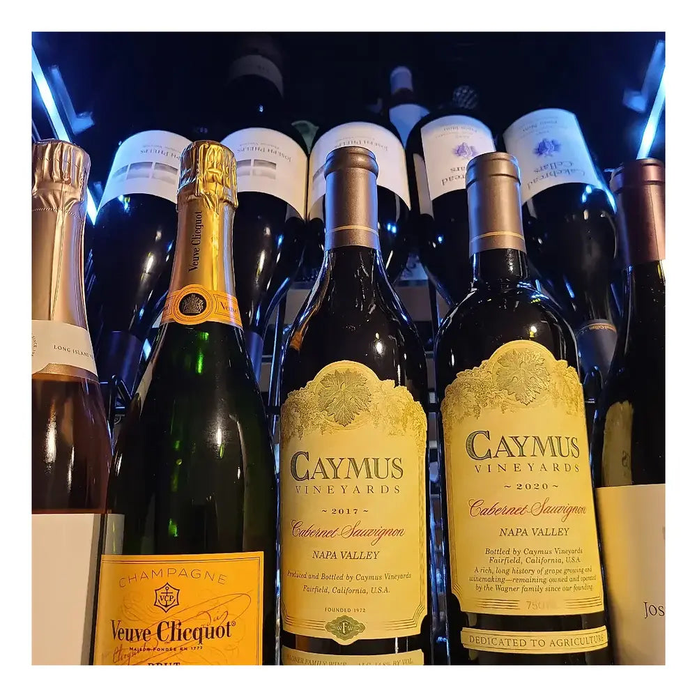 XO XOU2470WDZG 24 inch Dual Zone Wine Column with 15 cu. ft. or 119 Wine Bottle Capacity, Tri-Color LED, Intuitive Digital Control, Secure Door Lock, Field Reversible Door