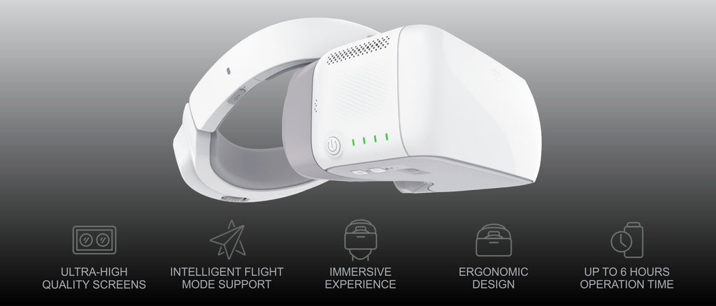 DJI Goggles