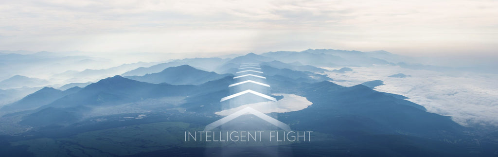 DJI Goggles - Intelligent Flight