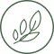 matcha leaf icon