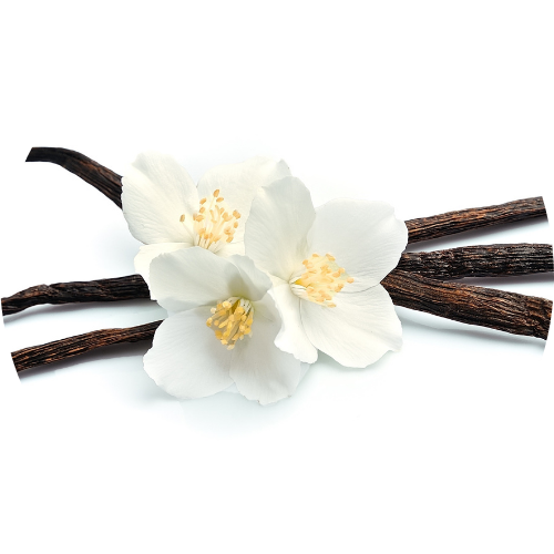 Vanilla