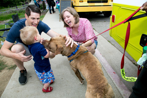 Mom, dad, and young boy meeting a dog
