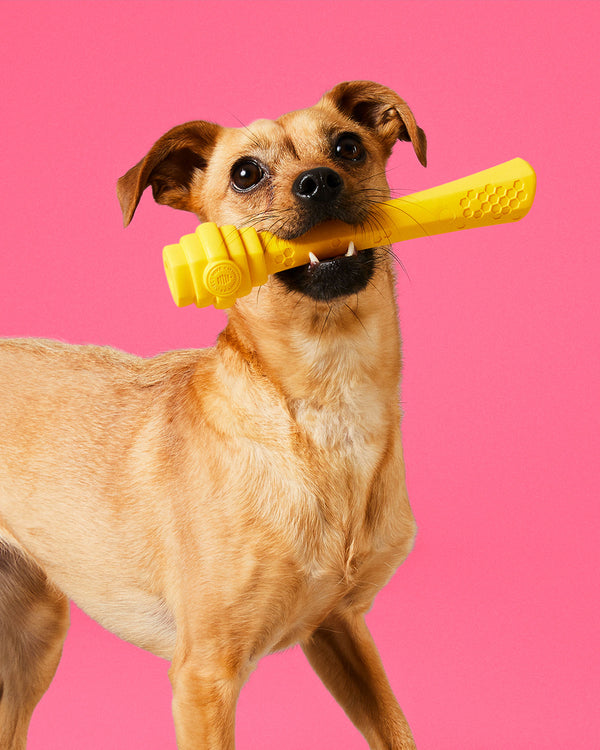 Rubber Bolt Bite Dog Chew Toy – Simply Zero