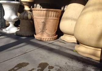 These… are not the cement pots I was looking for.