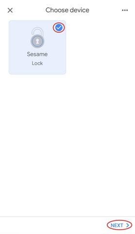 select your sesame in google home