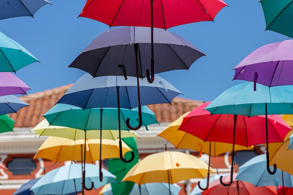 Wholesale Umbrellas In Bulk