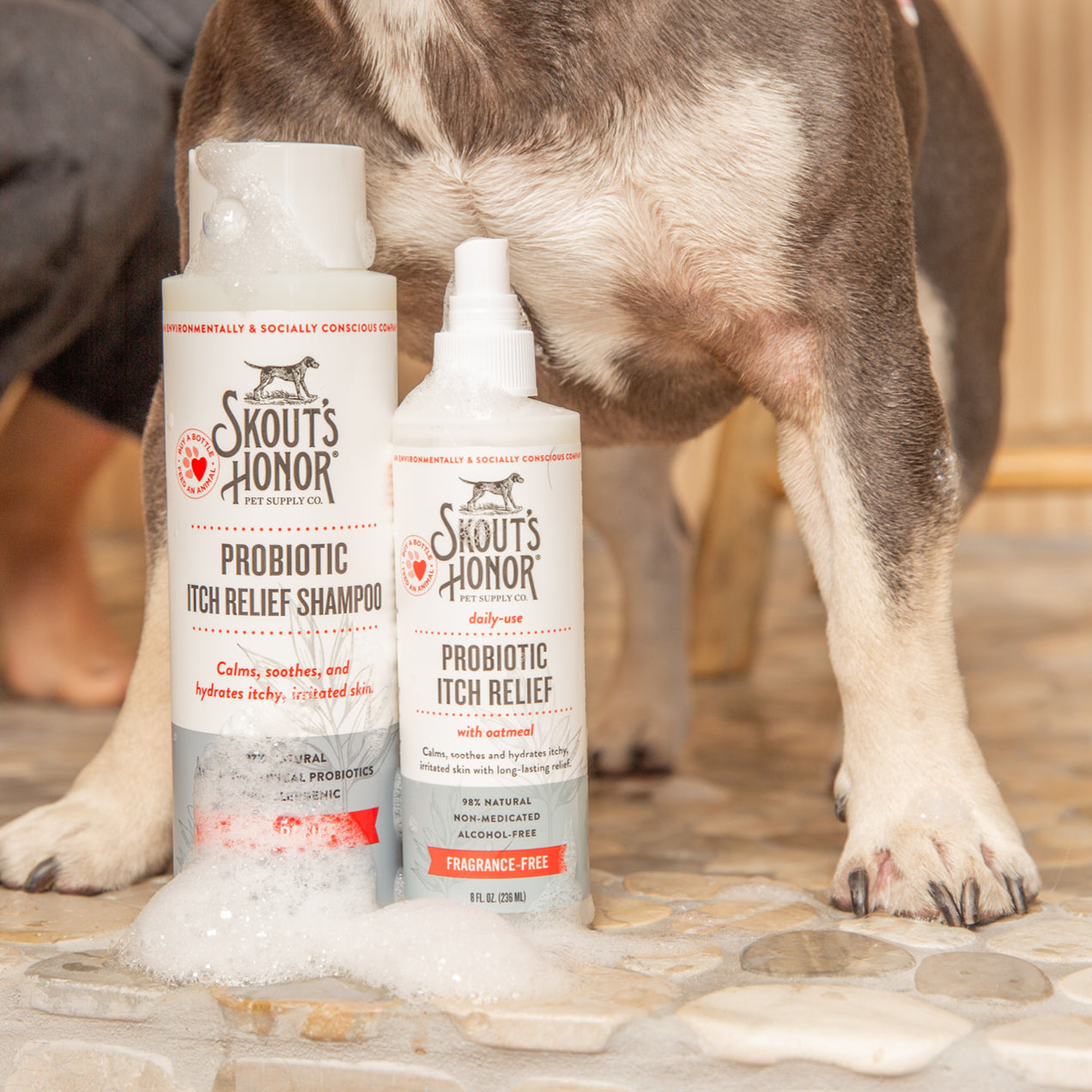 dog_ear_clean.jpg__PID:e3fce505-6b9b-40b2-b0fa-eef3ea87e0e7
