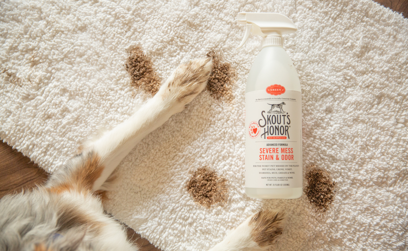 Skout's Honor Stain and Odor Remover for spot cleaning carpet