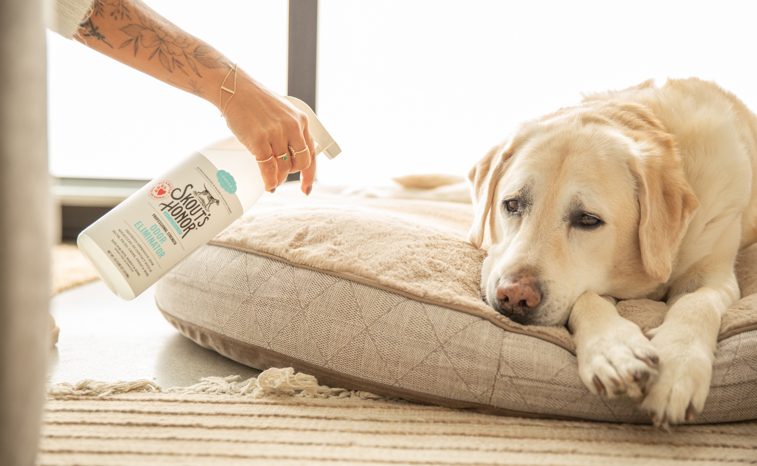 Skout's Honor Odor Eliminator on bedding for Spring Cleaning