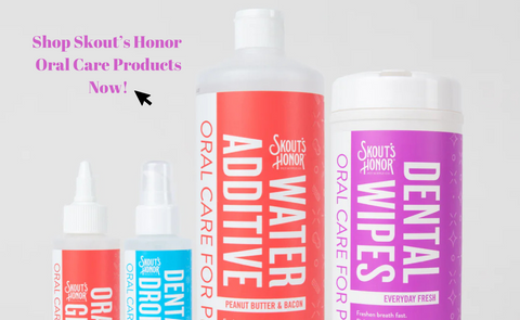 Skout's Honor Oral Care Lineup