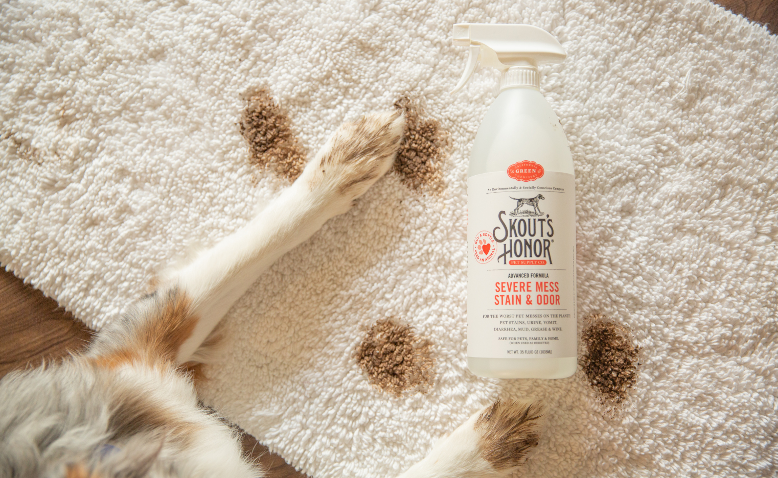 Muddy dog paws on white carpet with Skout's Honor Severe Mess Stain & Odor Remover