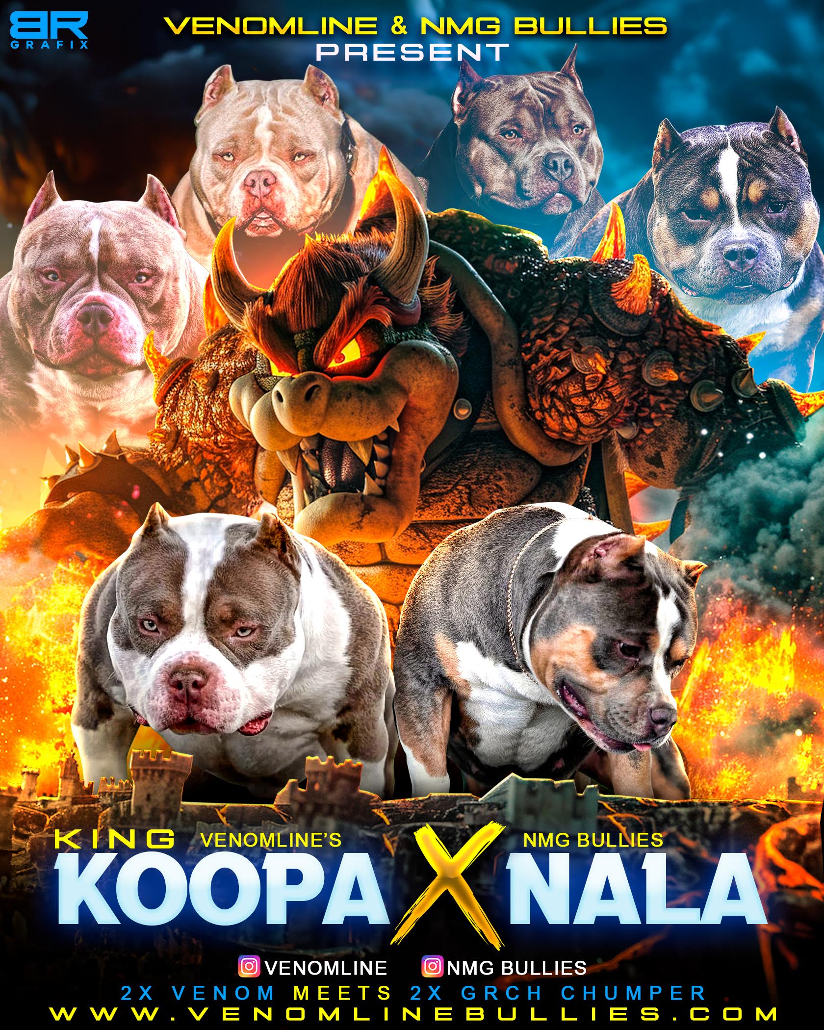 venomline-king-koopa-top-bully-studs-2024