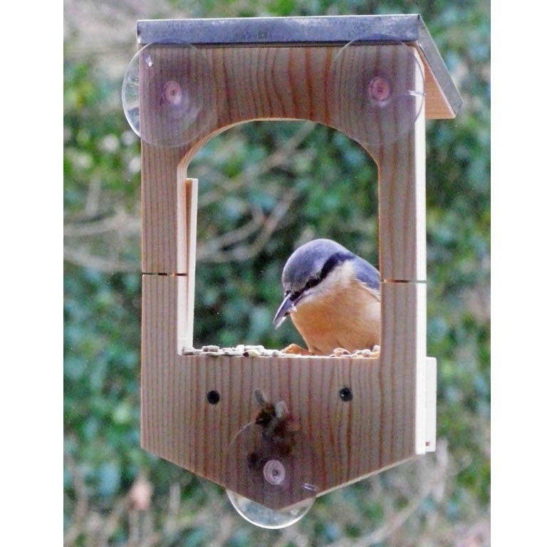 Apples To Pears Build Your Own Bird Feeder Stem Toys Educational