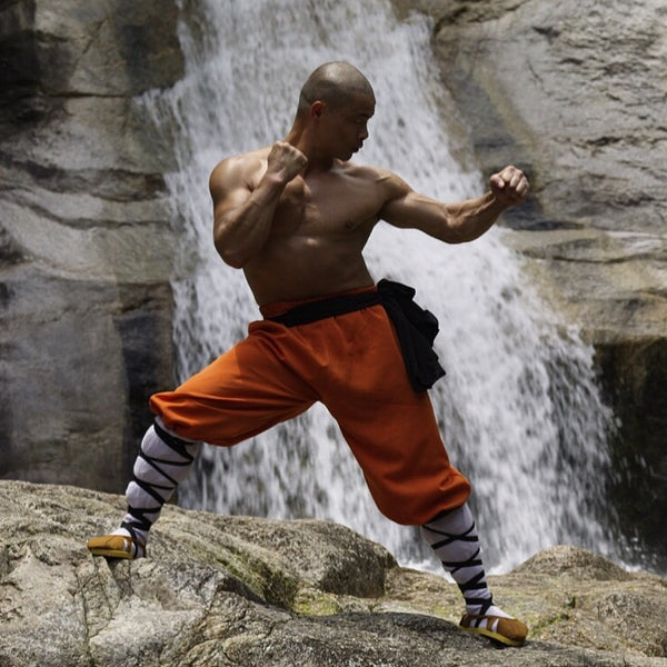 Shaolin Monk Stamina: Your 20 Day Training Program