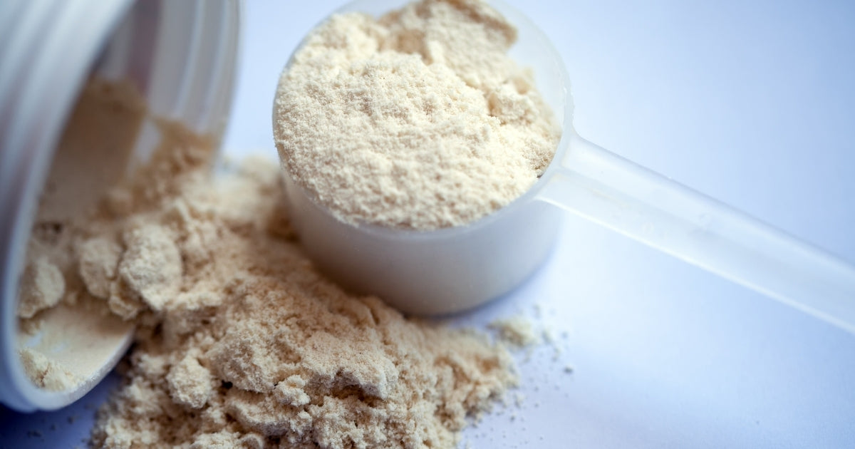 A scoop of soy protein powder