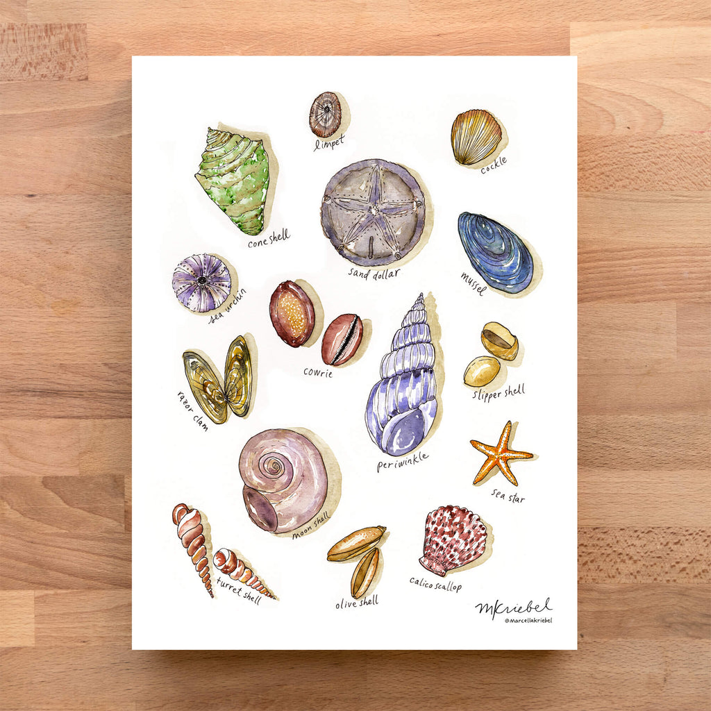 Seashells Watercolor Art Print