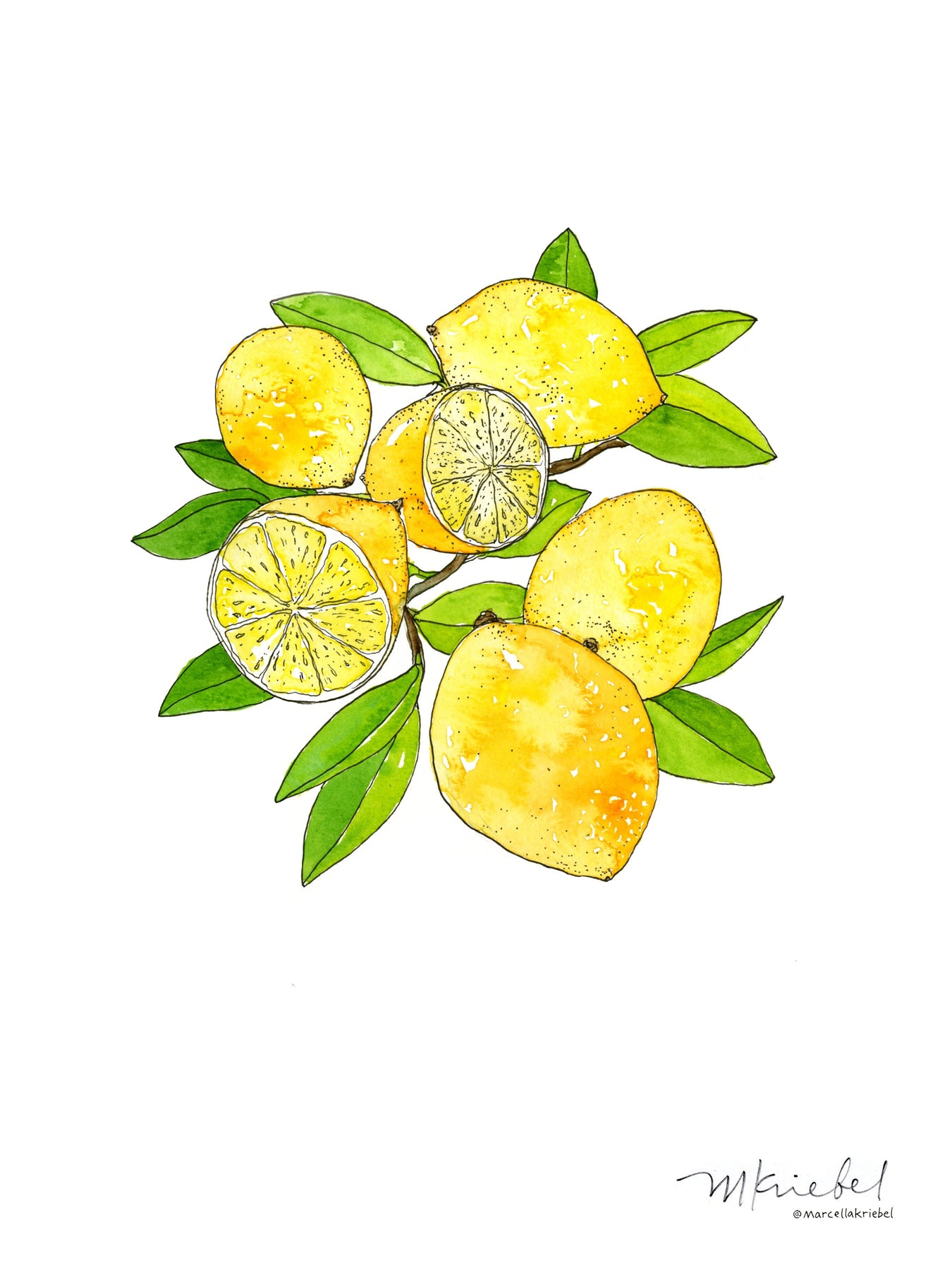 Always Lemons Watercolor & Ink Art Print