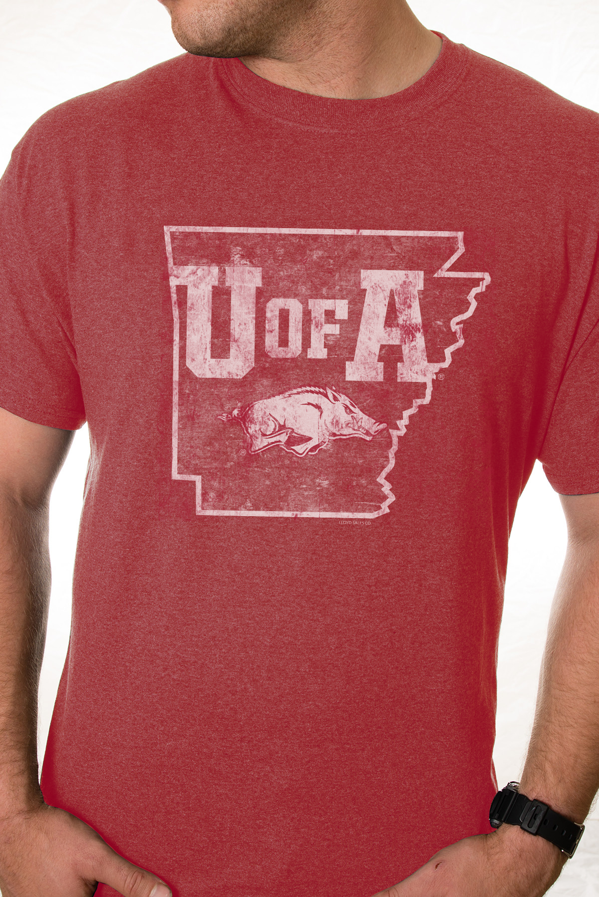 Cardinal Razorback Script T-shirt