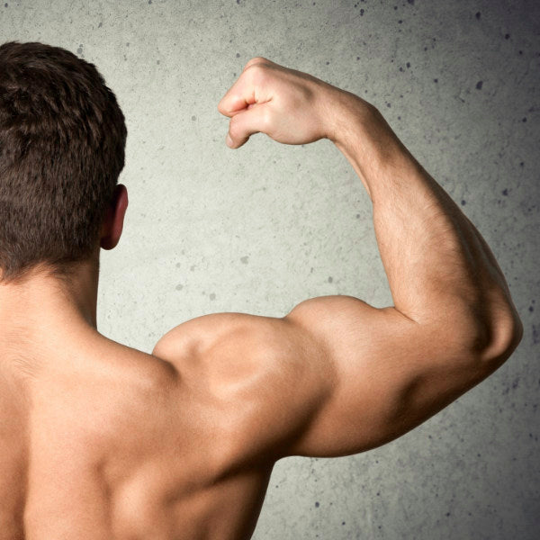 Enhanced Muscle Growth