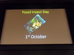 Fossil Insect Day